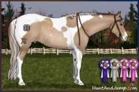 Horse Color:Black Pearl Sabino Tobiano Rabicano