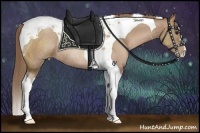 Horse Color:Black Pearl Tobiano Rabicano 