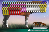 Horse Color:Brown Sabino