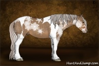 Horse Color:Silver Brown Ice Dun Tobiano 