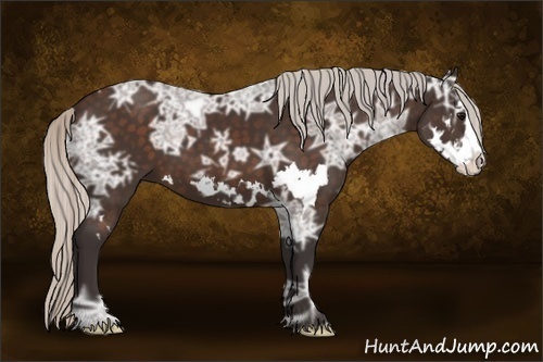 Horse Color:Silver Brown Ice Splash Frame