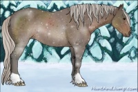 Horse Color:Silver Black 