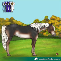 Horse Color:Liver Chestnut Mushroom 
