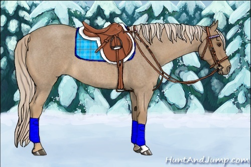 Horse Color:Palomino Roan 