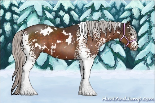Horse Color:White Spotted Silver Brown