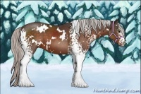 Horse Color:White Spotted Silver Brown
