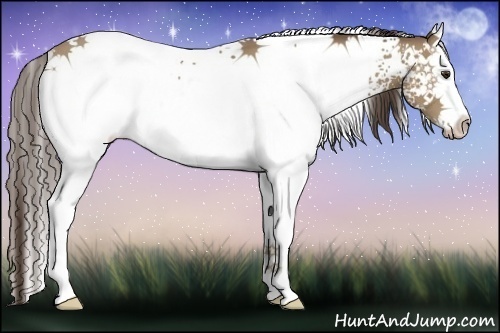 Horse Color:White Spotted Classic Champagne 