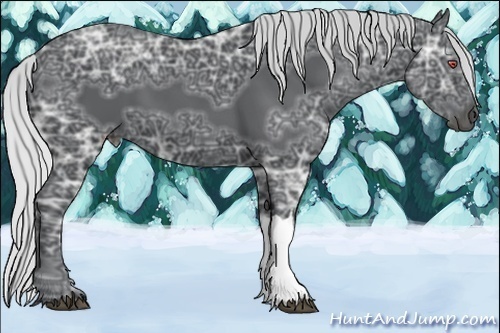 Horse Color:Silver Black Chinchilla Ice 