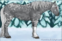 Horse Color:Silver Black Chinchilla Ice 