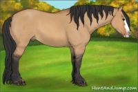 Horse Color:Bay Roan Dun Splash