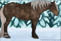Horse Color:Silver Brown Ice Sabino 