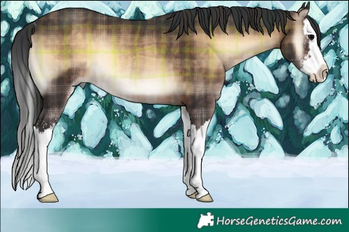 Horse Color:Plaid  Brown Onyx Sabino Splash Rabicano 