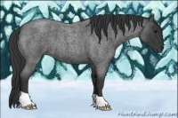 Horse Color:Blue Roan 