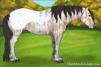 Horse Color:Brown Ice Appaloosa 