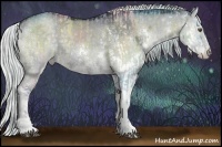 Horse Color:Watercolor White Spotted Silver Grullo Chinchilla Ice Onyx Sabino Rabicano and White Spotted Silver Grullo Chinchilla Splash Tobiano