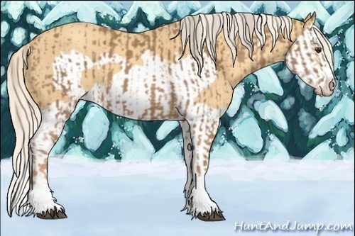 Horse Color:Palomino Splash Frame  and Gold Cream Champagne Splash Frame 