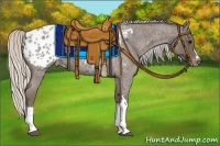 Horse Color:Silver Blue Roan Appaloosa