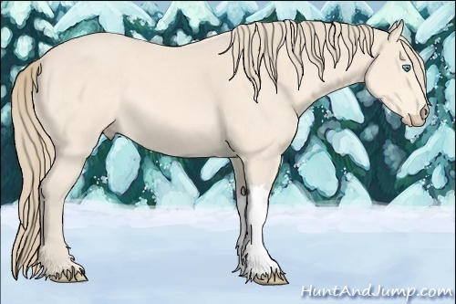 Horse Color:Perlino 