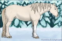 Horse Color:Perlino 