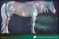 Horse Color:Watercolor White Spotted Silver Grullo Chinchilla