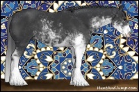 Horse Color:Black Sabino
