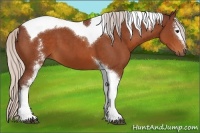 Horse Color:White Spotted Chocolate Silver Bay Tobiano