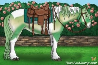 Horse Color:Watercolor Liver Red Onyx Sabino Tobiano