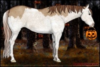 Horse Color:Red Dun Splash