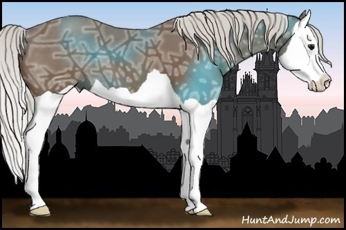 Horse Color:Silver Smoky Black Ice Splash