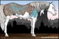 Horse Color:Silver Smoky Black Ice Splash 