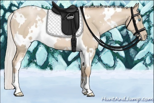 Horse Color:White Spotted Silver Smoky Black Pearl 
