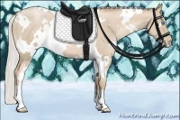 Horse Color:White Spotted Silver Smoky Black Pearl 