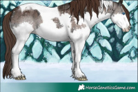 Horse Color:Liver Chestnut Ice Splash Tobiano 