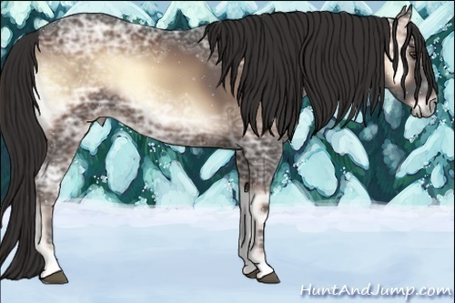 Horse Color:Liver Red Onyx Ice 
