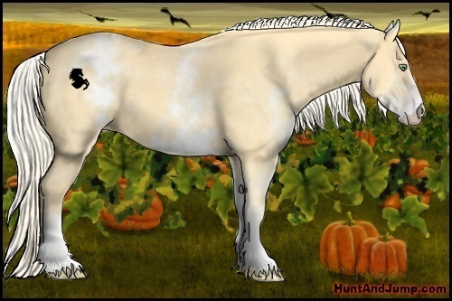 Horse Color:White Spotted Gold Cream Champagne 