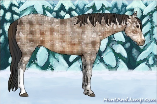 Horse Color:Plaid  Brown Ice Rabicano 
