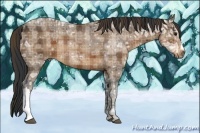 Horse Color:Plaid  Brown Ice Rabicano 