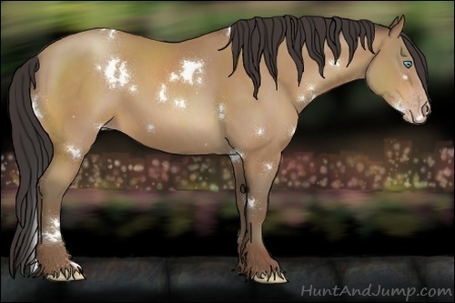 Horse Color:White Spotted Sable Champagne