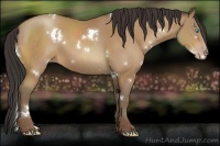 Horse Color:White Spotted Sable Champagne 
