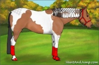Horse Color:Bay Roan Tobiano