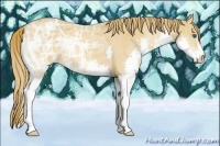 Horse Color:Chestnut Ice Splash 