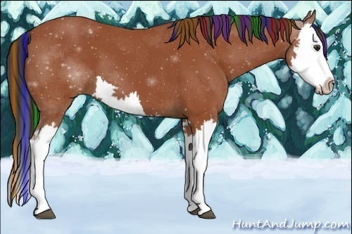 Horse Color:Painted Bay Splash 