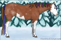 Horse Color:Painted Bay Splash 