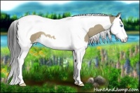 Horse Color:Buckskin Dun Splash Tobiano
