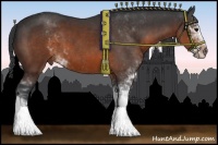 Horse Color:Brown Sabino