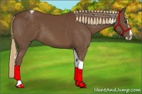 Horse Color:Chestnut Splash Tobiano