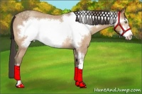 Horse Color:Amber Champagne Roan Frame Rabicano