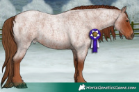 Horse Color:Red Roan 
