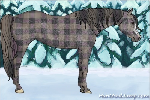 Horse Color:Plaid  Black 