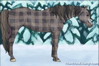 Horse Color:Plaid Black